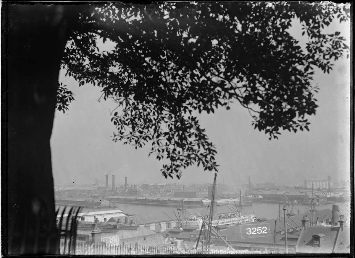 View from Observatory Hill over Darling Harbour to Pyrmont. McIwraith McEachern wharf Number 4 Darling Harbour has one of that companys passenger liners berthed (1920s)