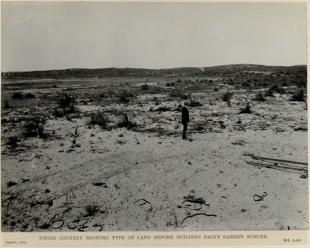 Virgin country showing type of land before building Dacey Garden suburb, 1915