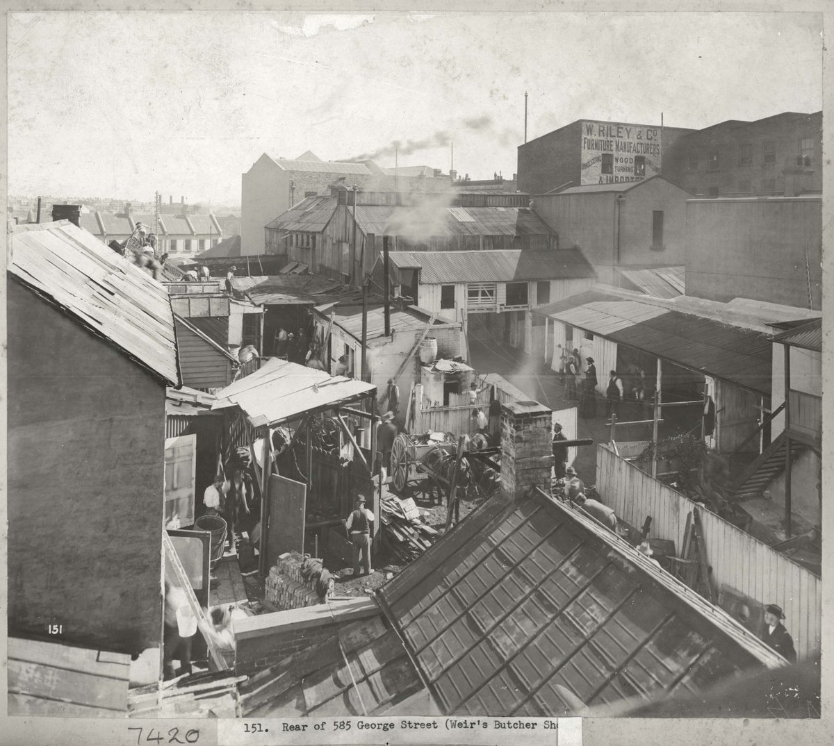 Rear of 585 George St showing Weirs Butcher Shop, Sydney (NSW), Sydney city centre (c. 1900)