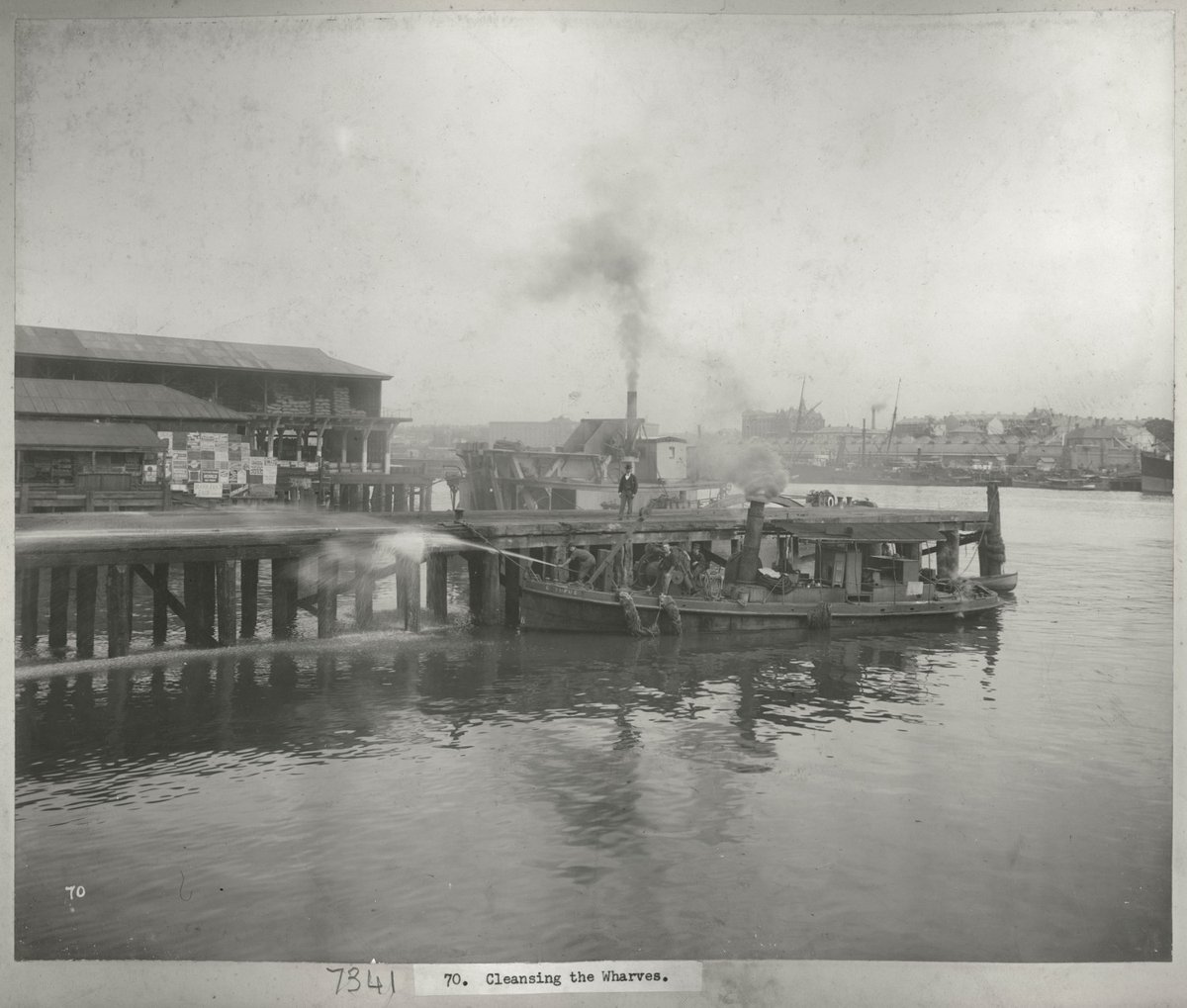 Cleansing the wharves, Sydney (1900)