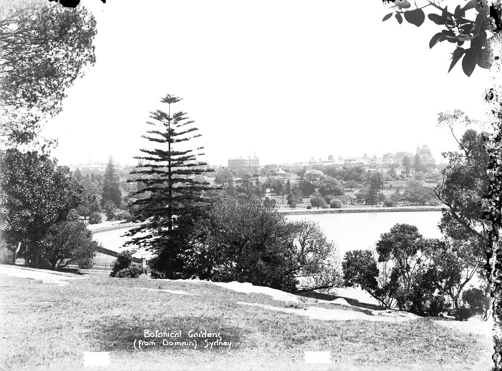 Royal Botanic Gardens c.1908, Sydney city centre (c. 1908)