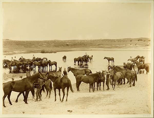 Bushmens camp - Kensington (c. 1900)