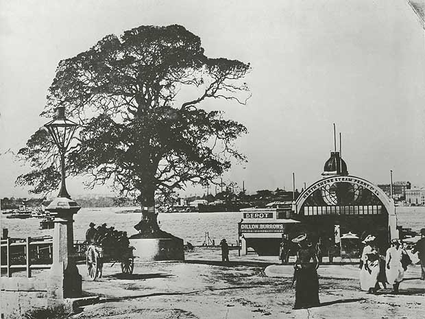 Milsons Point (c. 1895)