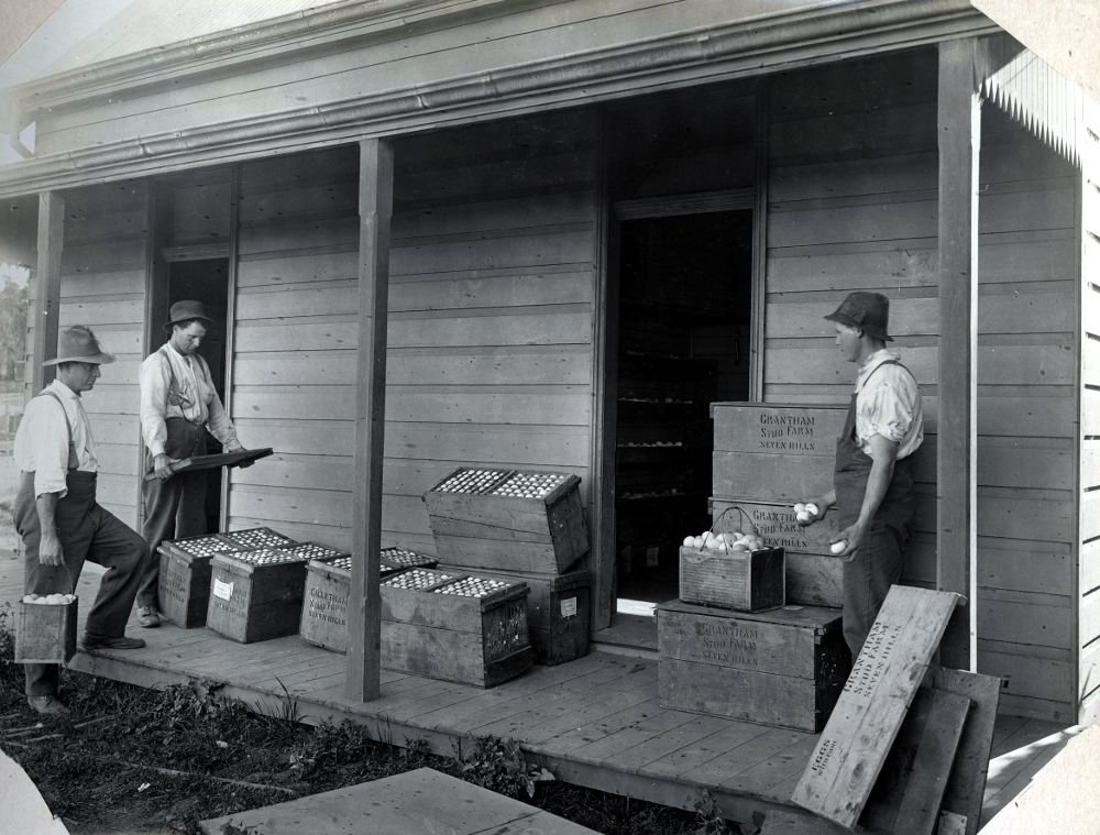 Packing eggs - Grantham Soldiers Settlement, Seven Hills (1921)