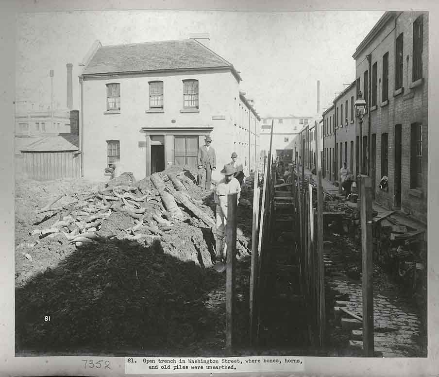 Washington Street, Sydney 1900 (c. 1900)