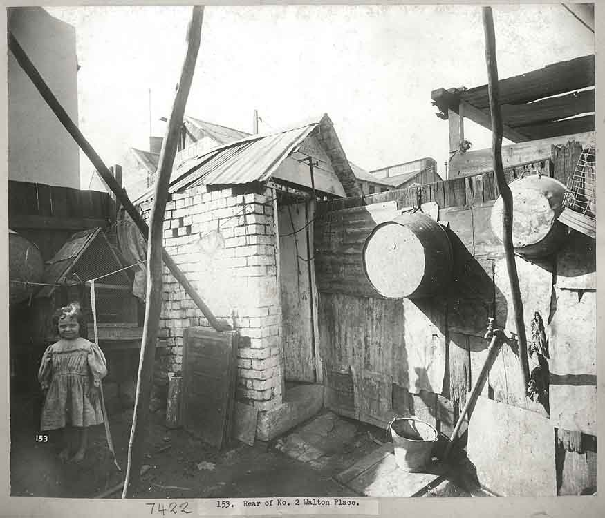 A Sydney backyard in 1900 (c. 1900)
