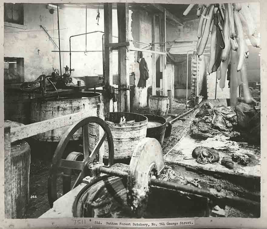 A Sydney butchers, 1900, Sydney city centre