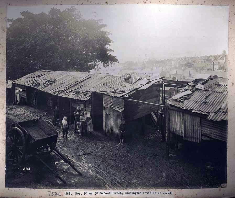 Stables in Paddington, Sydney 1900 (c. 1900)