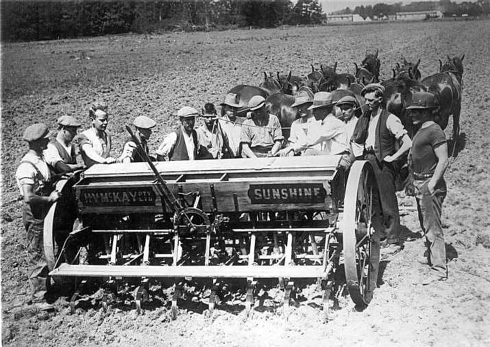 Horsedrawn seed drill - Scheyville (c. 1926)