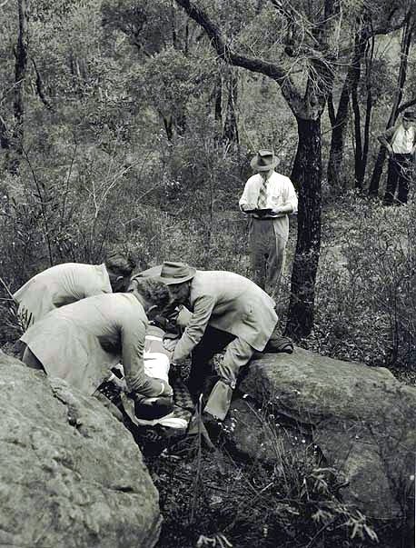 Railway Ambulance Corp, Lane Cove (c. 1956)
