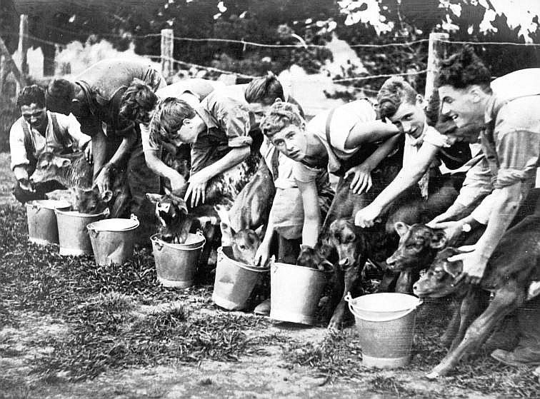 Feeding time, Scheyville (c. 1926)