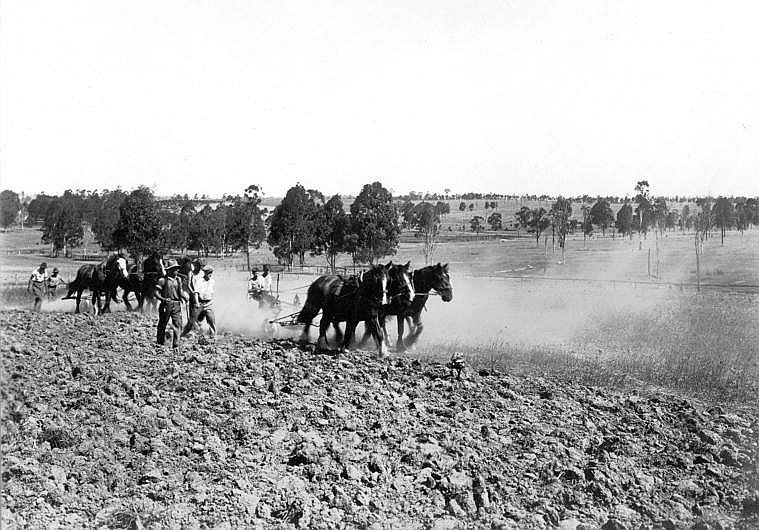 Ploughing the fields, Scheyville (c. 1926)