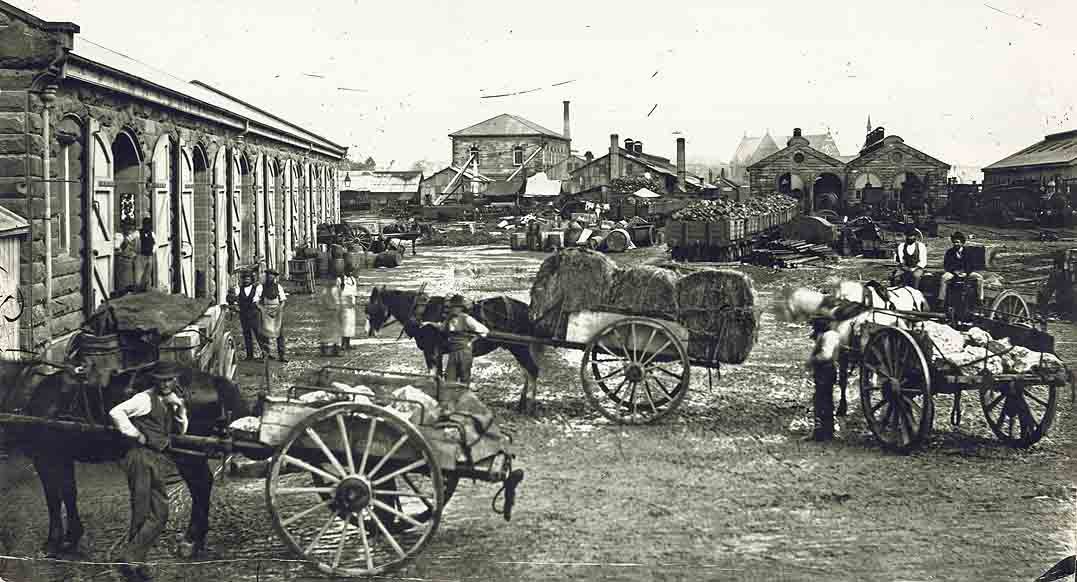 Horse teams at the old Sydney Railway goods yard (c. 1874)