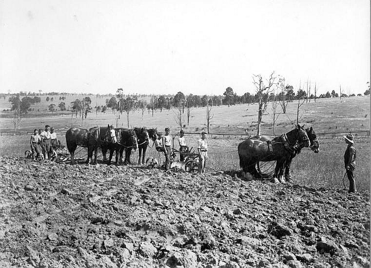 Ploughing the fields, Scheyville (c. 1926)