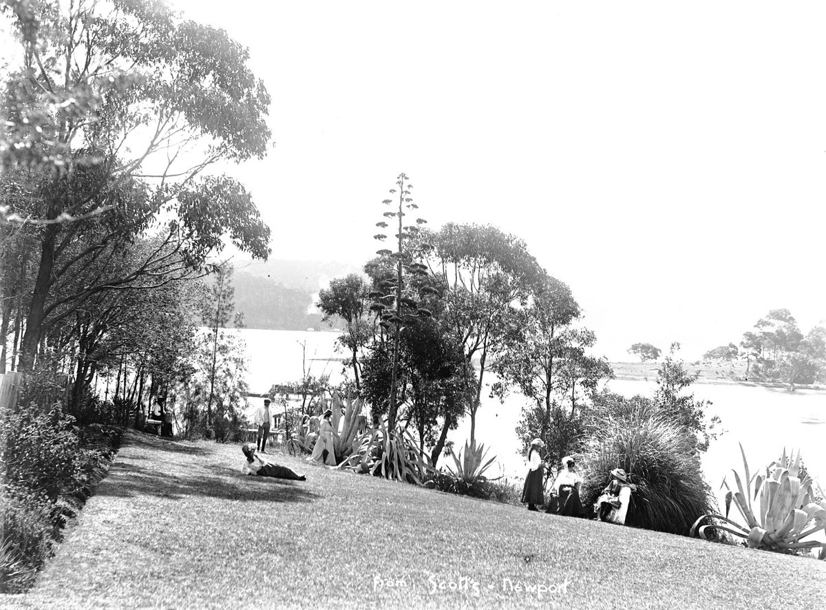 View from Scotts Guest House at Newport (NSW) (c. 1908)