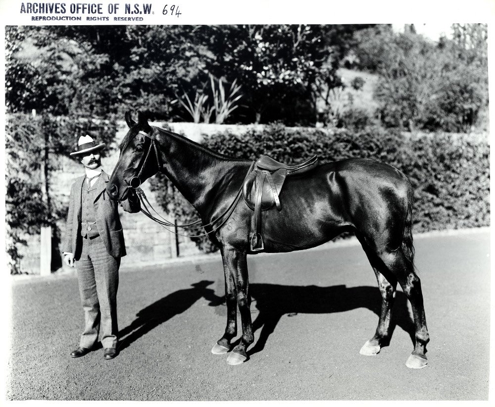Cranbrook (private residence 1859-1900, residence of the NSW Governor 1900-1917, now Cranbrook School) - horse on parade, Bellevue Hill (NSW) (1859–1917)