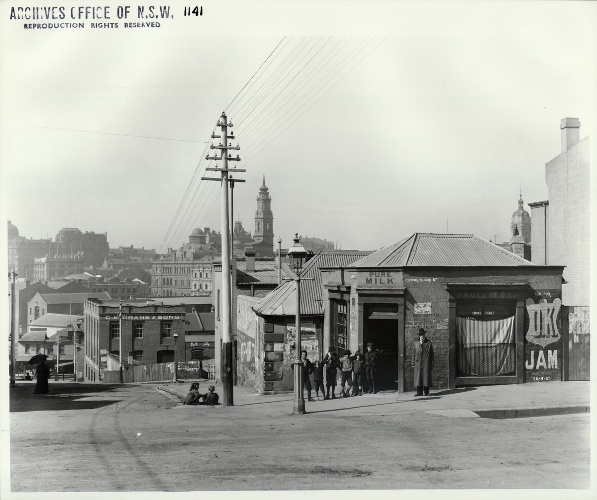 Corner of Essex and Cumberland Streets, The Rocks (NSW) (Rocks Resumption photographic survey) (1901)