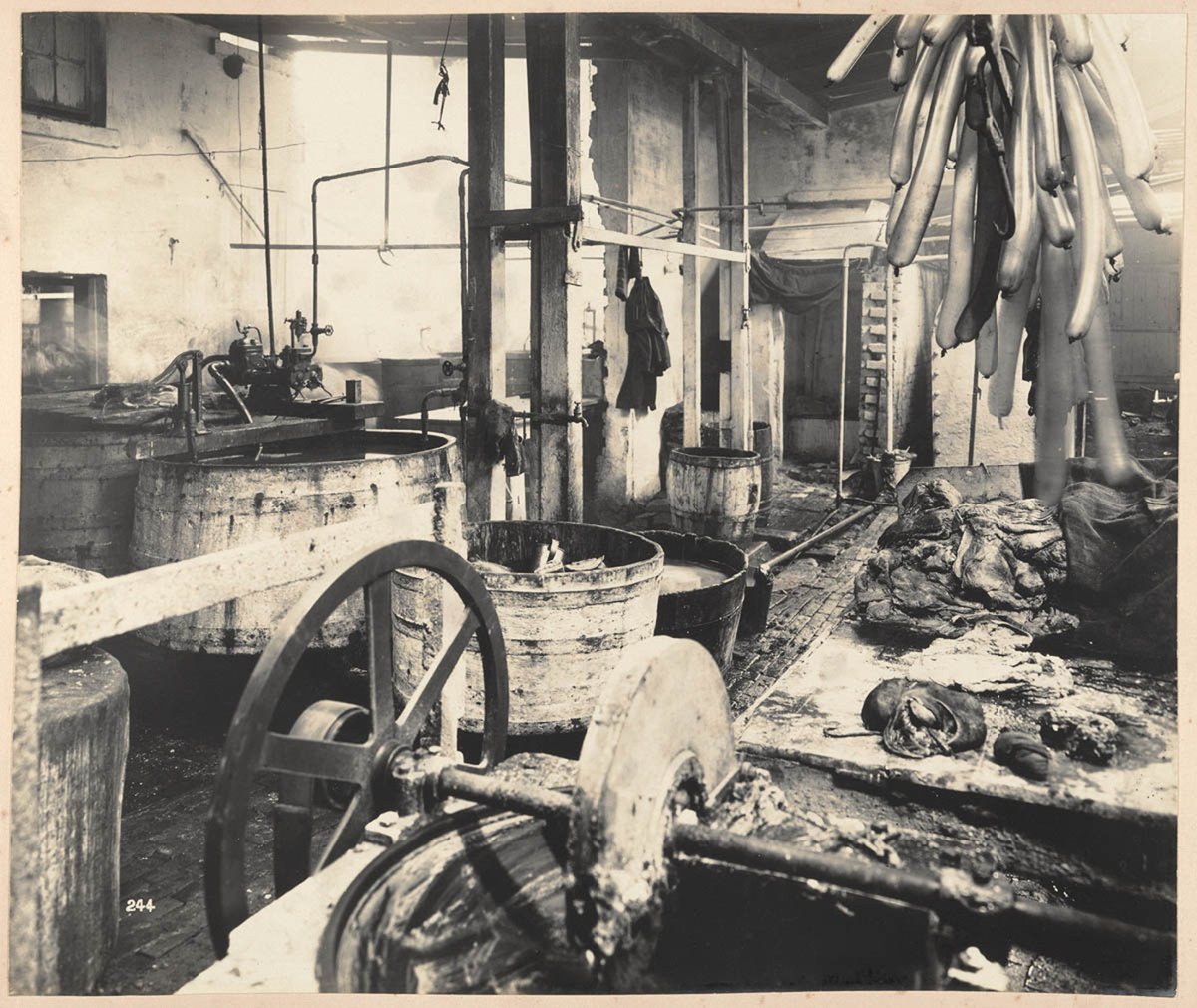Sutton Forest Butchery. No. 761 George street 1900 Degotardi, Sydney