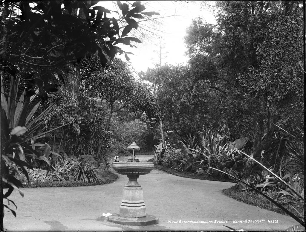 In the Botanical Gardens, Sydney, Sydney city centre (1898)