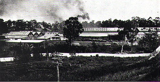 Meadowbank Manufacturing Company workshops 1922