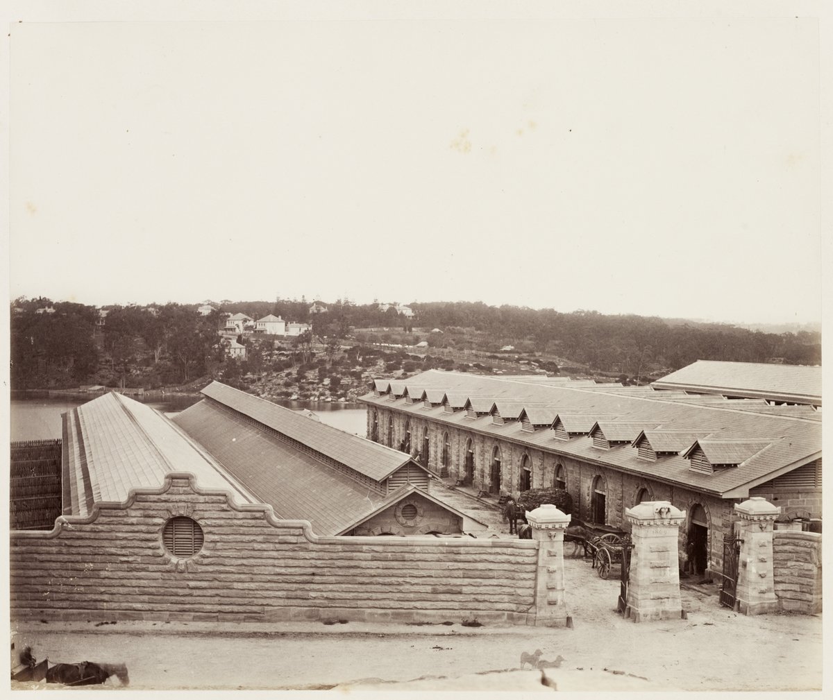25 Glebe Island Abattoirs SH 616, Rozelle (1872)