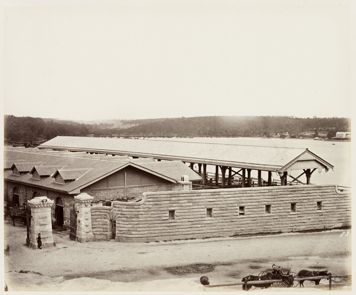 24 Glebe Island Abattoirs Buildings Adjoining SH 617 (1872)