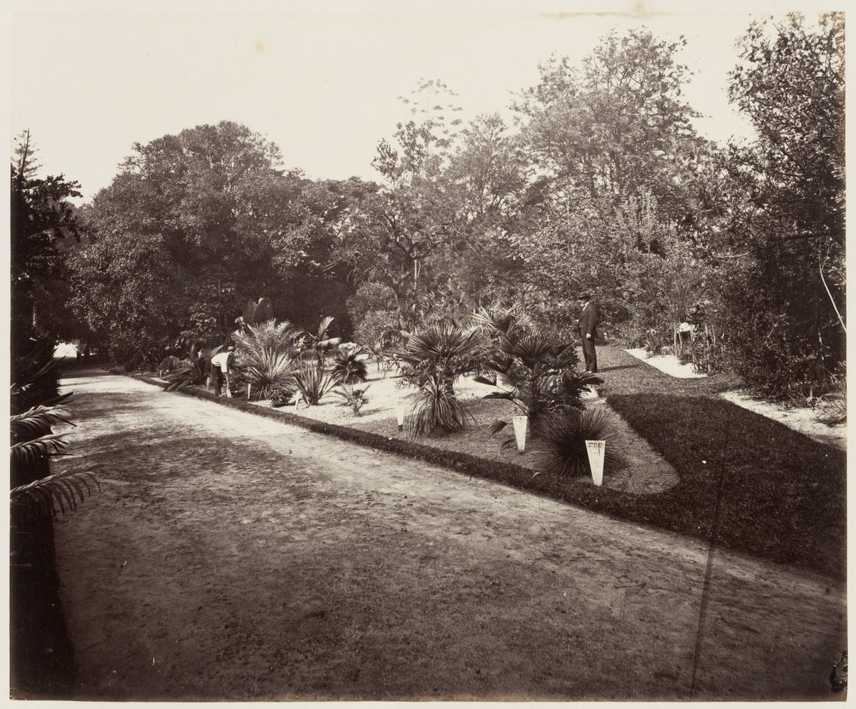 114 Botanic Gardens SH 598, Sydney city centre (1872)