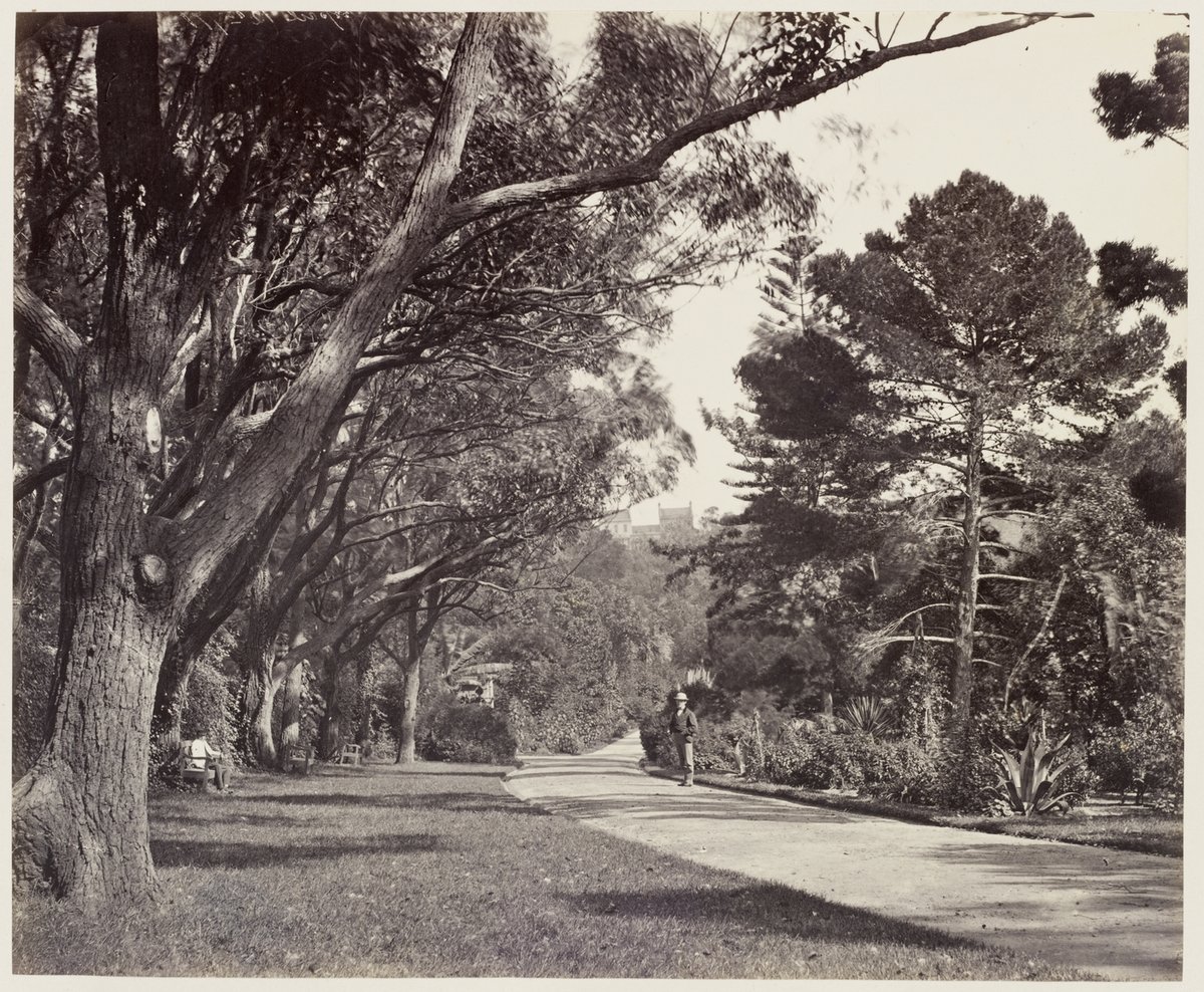 115 Botanic Gardens SH 598, Sydney city centre (1872)
