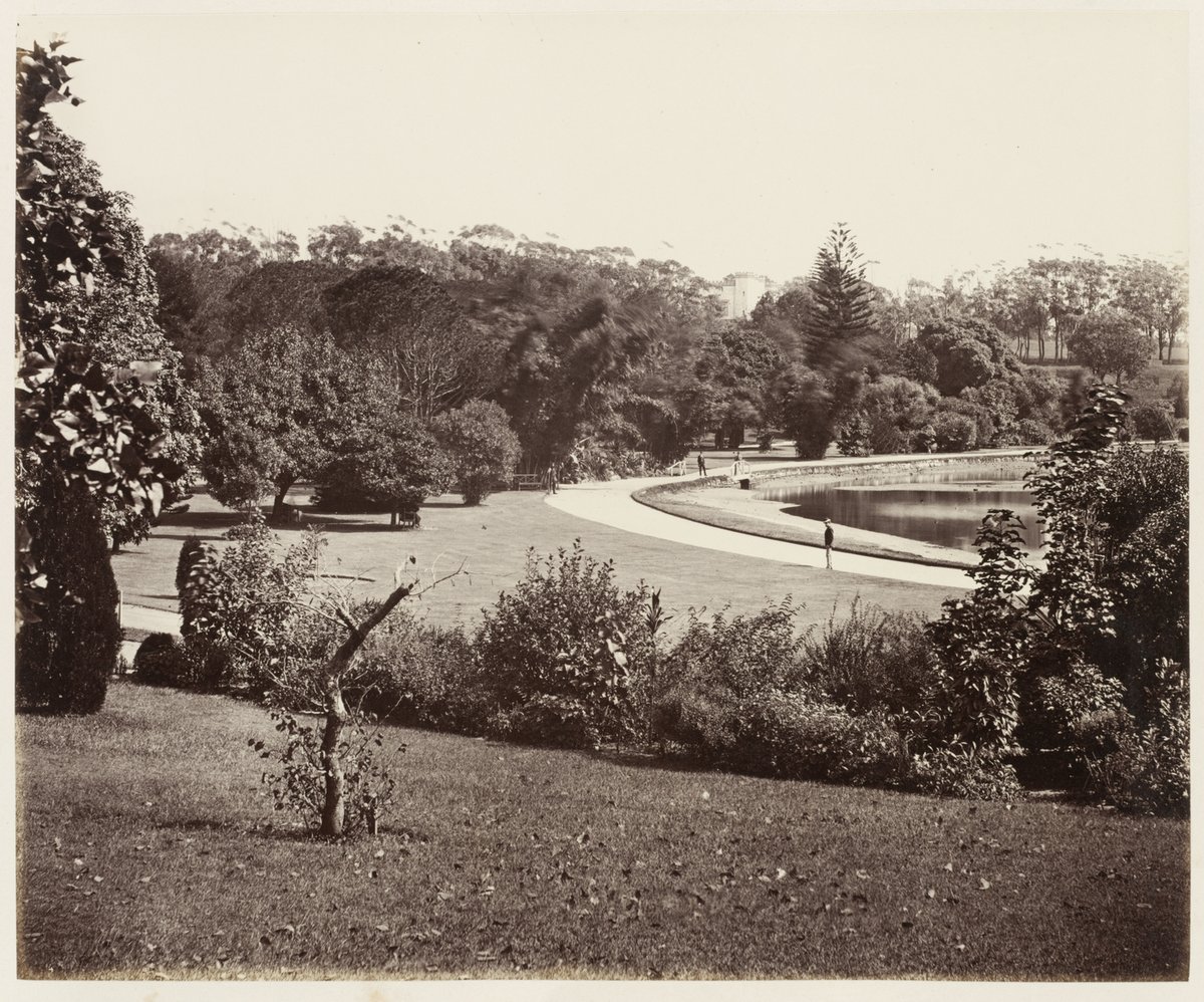 111 Botanic Gardens SH 598, Sydney city centre (1872)