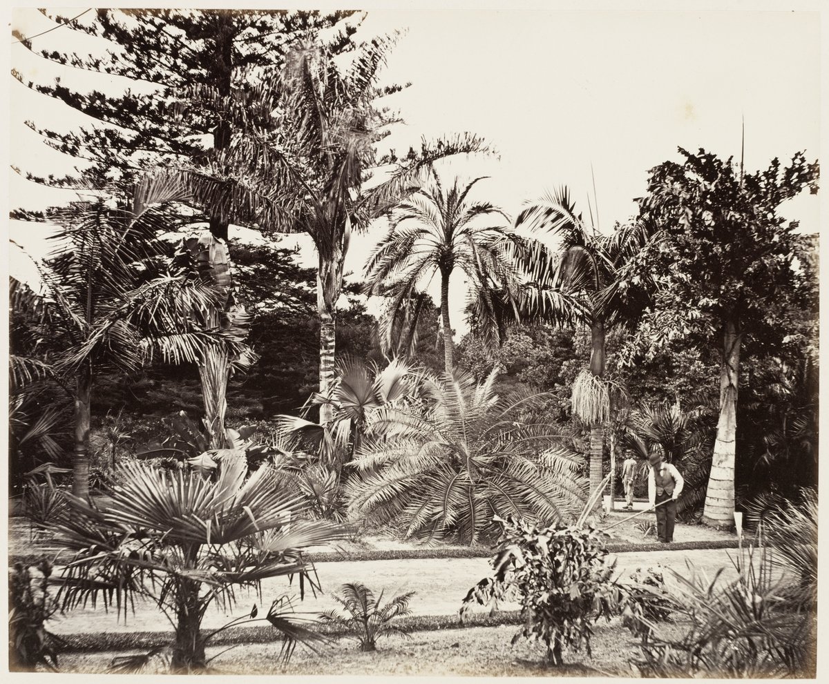 117 Botanic Gardens SH 598, Sydney city centre (1872)