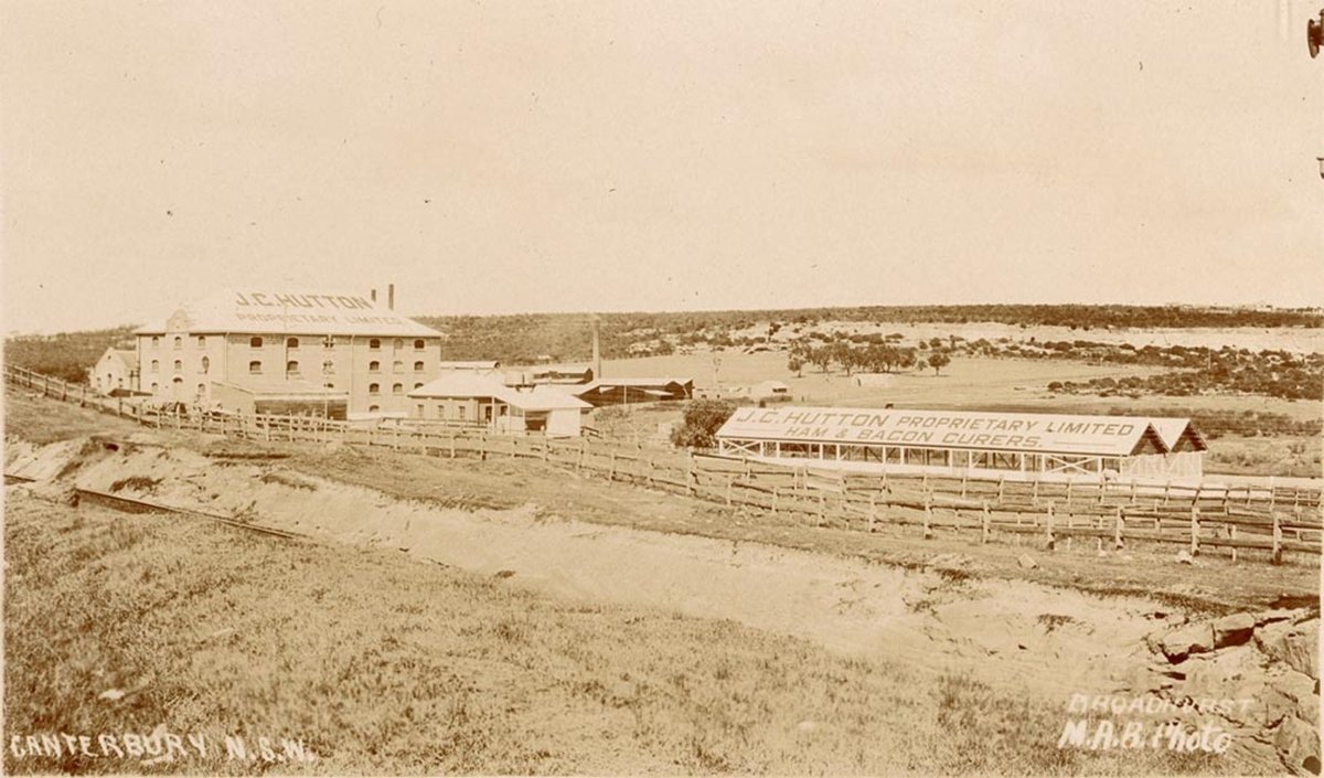 Canterbury NSW including JC Hutton Pty Ltd Ham amp Bacon Curers (1900–27)