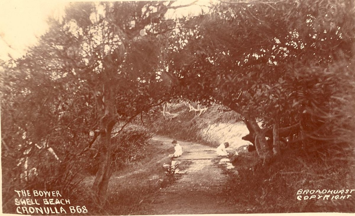 The Bower Shell Beach Cronulla (1900–27)