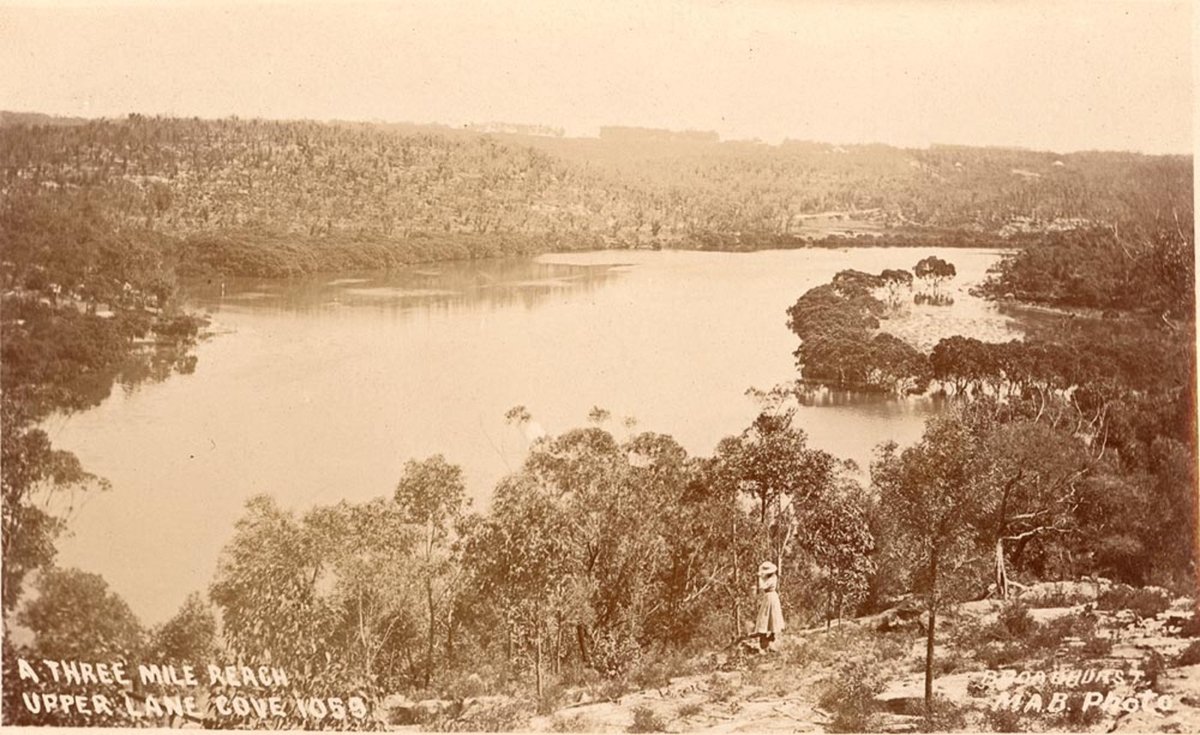 A Three Mile Reach Upper Lane Cove (1900–27)