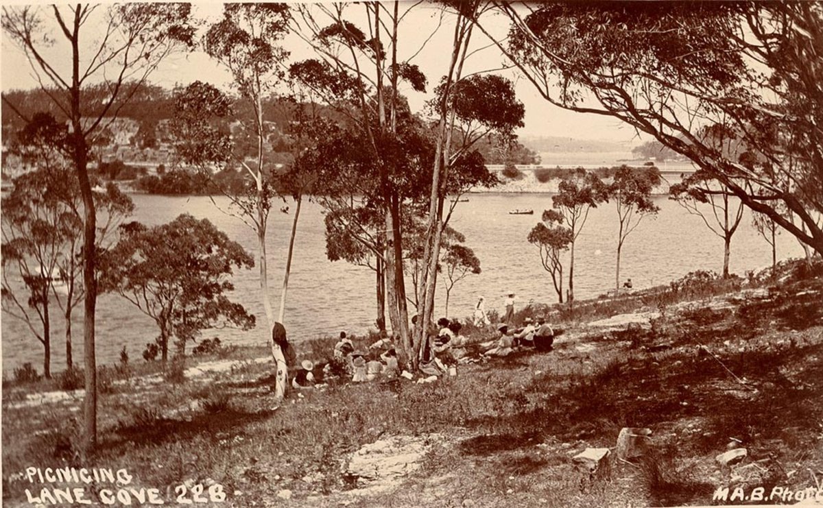 Picnicing Lane Cove (1900–27)