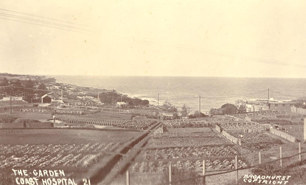 The Garden Coast Hospital, Little Bay (1900–27)