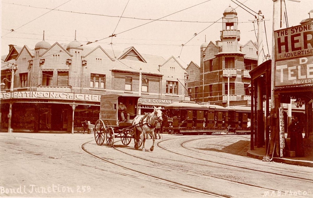 Bondi Junction including Pattinson amp Co Chemist (1900–27)