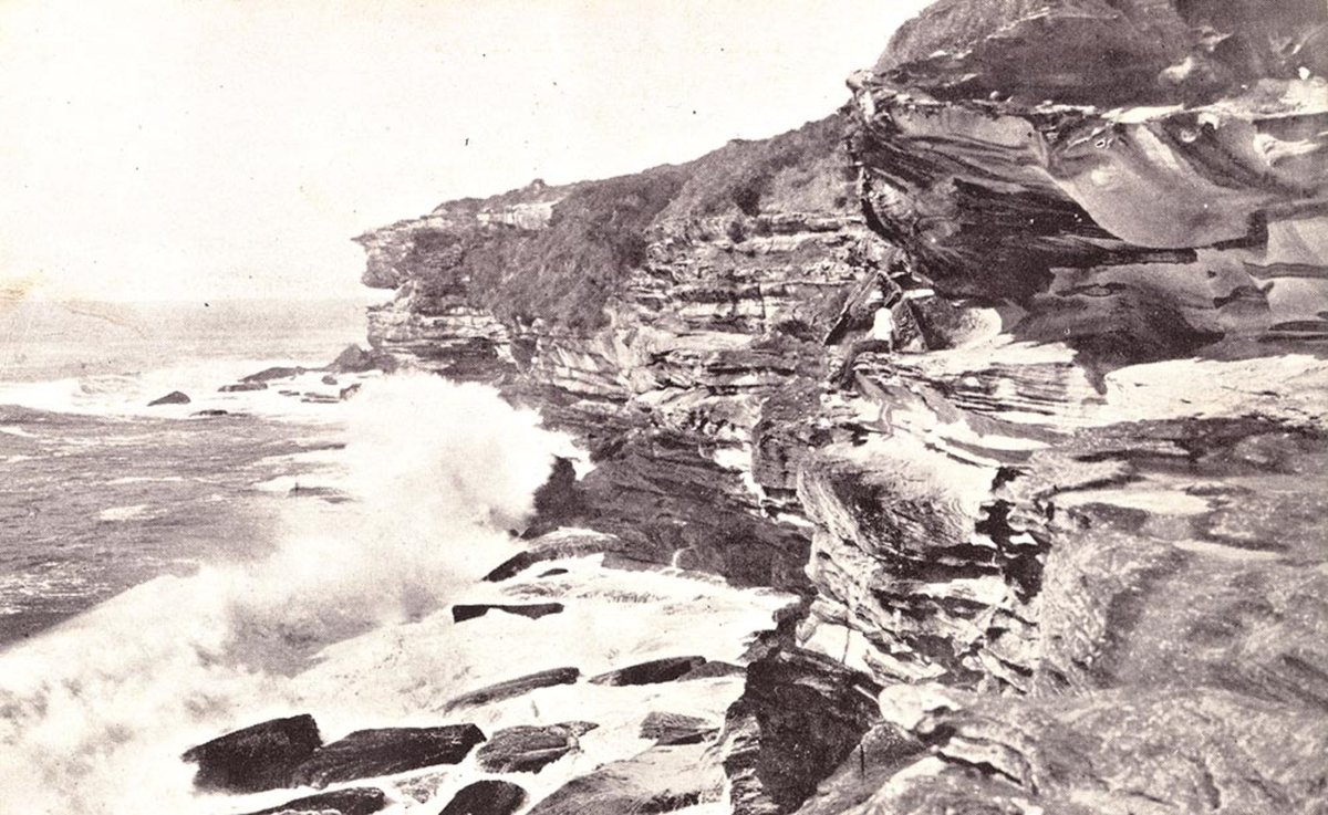 Longnose South Head of Botany Bay (1900–27)