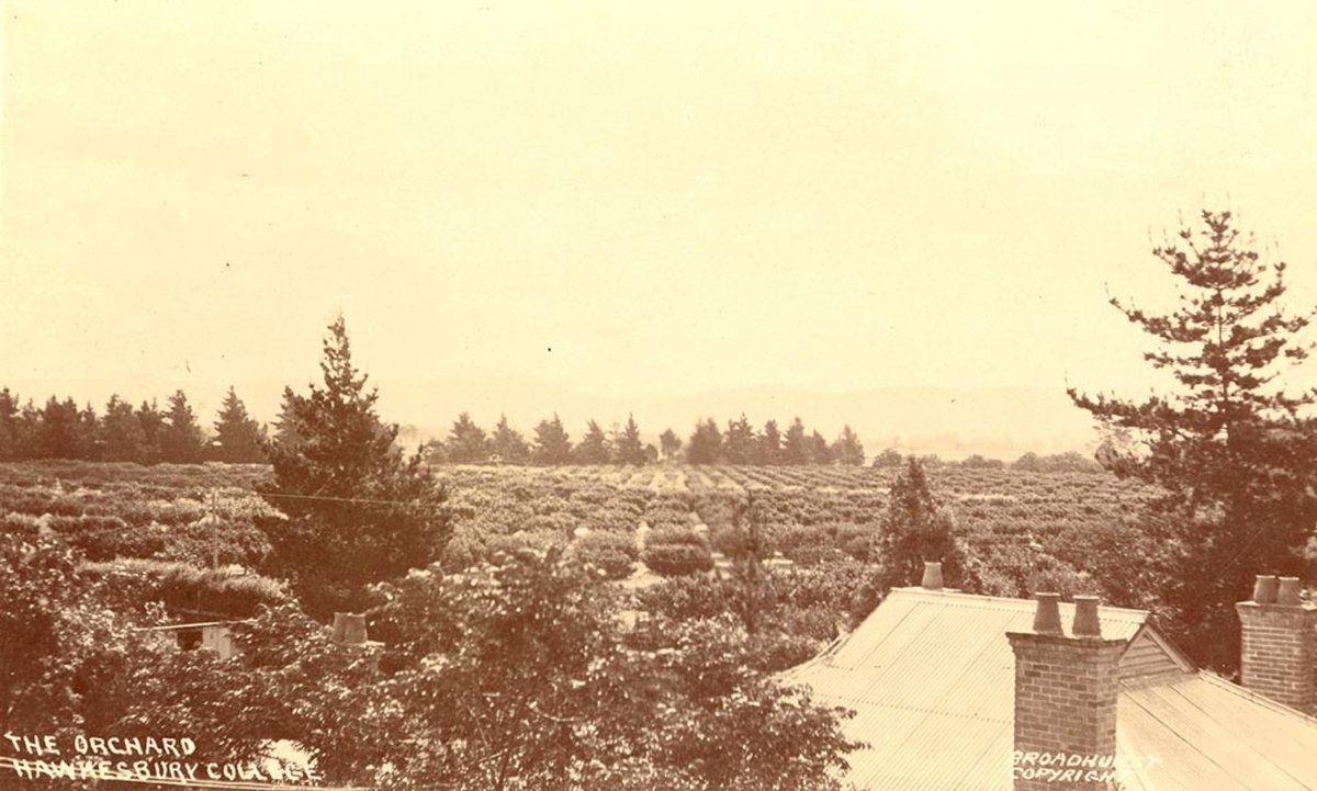 The Orchards Hawkesbury College, Hawkesbury River (1900–27)