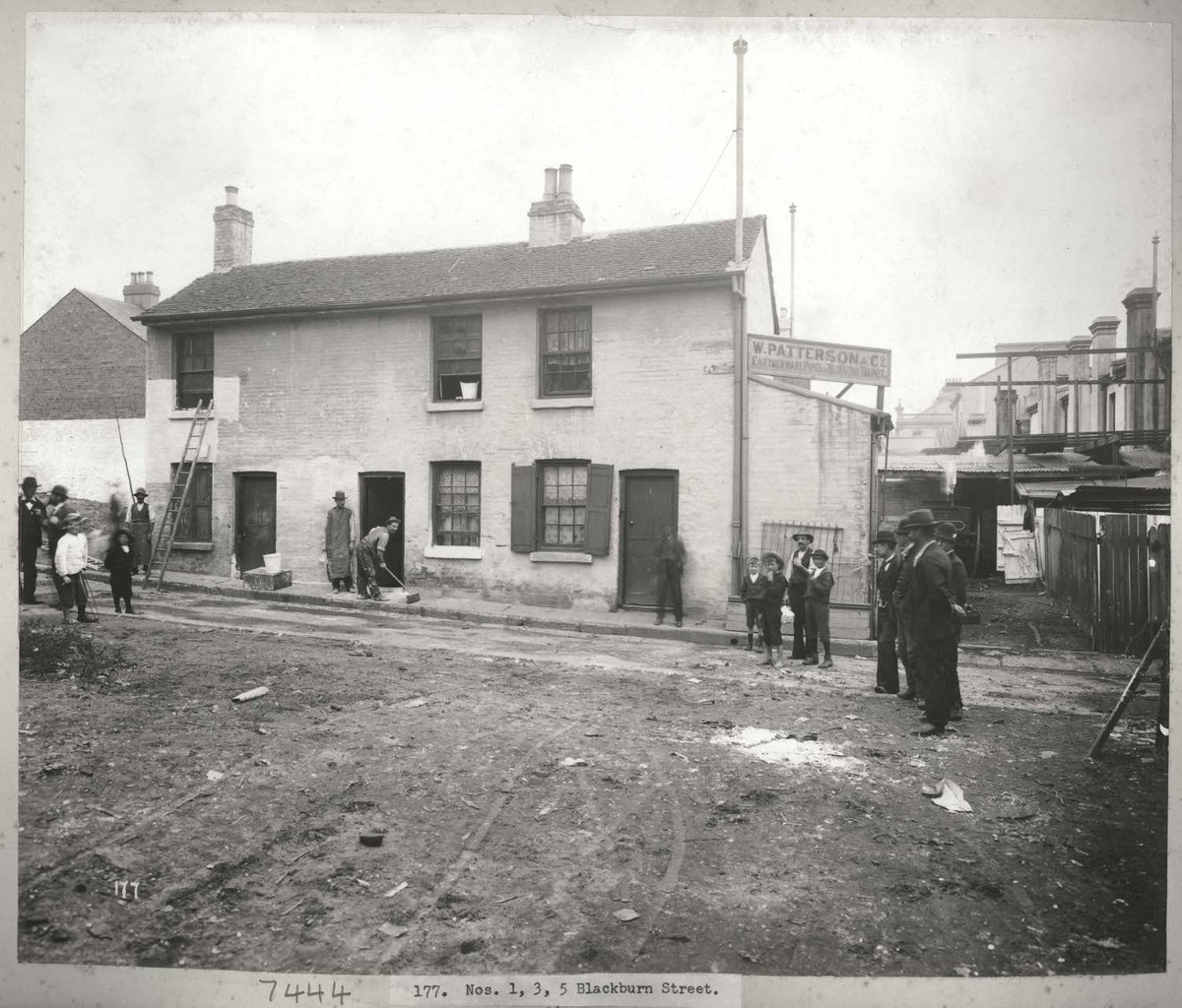 Views taken during Cleansing Operations, No.'s 1-5 Blackburn Street, Sydney (NSW) (1900)