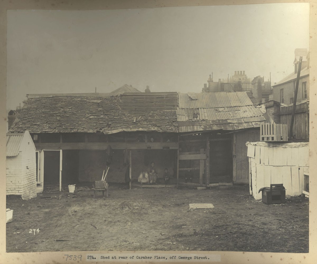 Views taken during Cleansing Operations, Quarantine Area, Shed at rear of Caraher Place, off George Street, Sydney (NSW), Sydney city centre (1900)