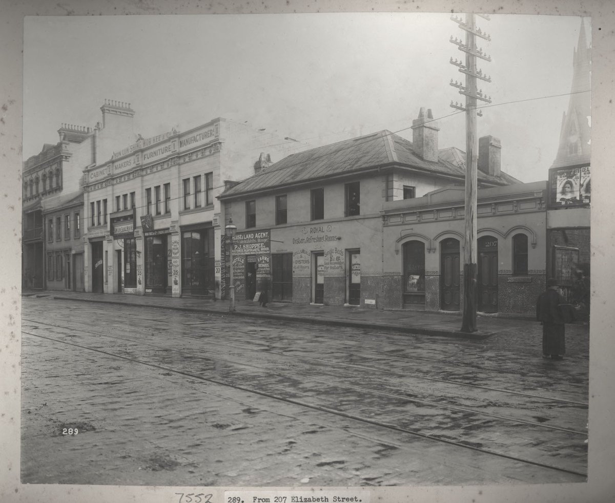 Views taken during Cleansing Operations, Quarantine Area, No.207 Elizabeth Street, Sydney (NSW), Sydney city centre (1900)