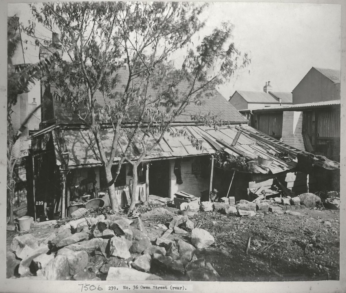 Views taken during Cleansing Operations, Quarantine Area, Rear of No.36 Owen Street, Sydney (NSW) (1900)