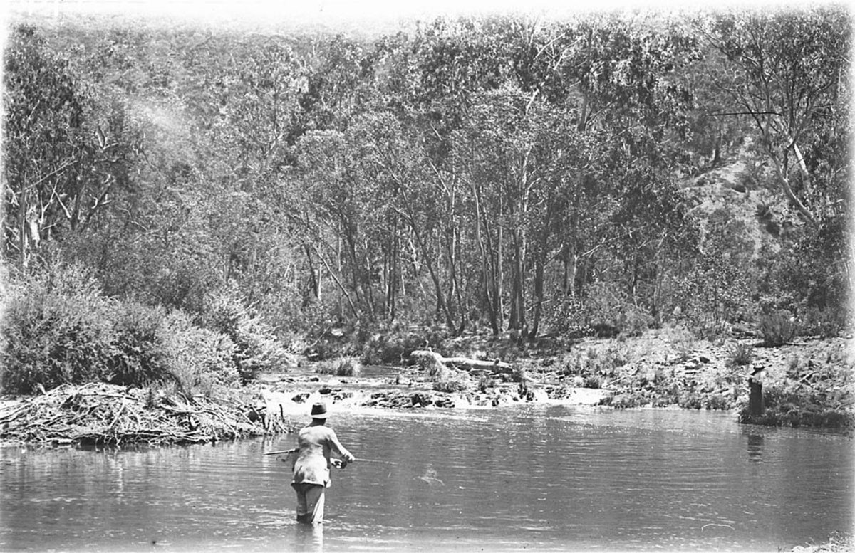 A man fishing in a mountain stream (1930s)