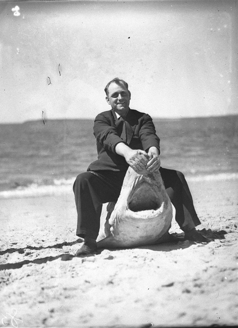 A man holding open the jaws of a captured shark (1934)