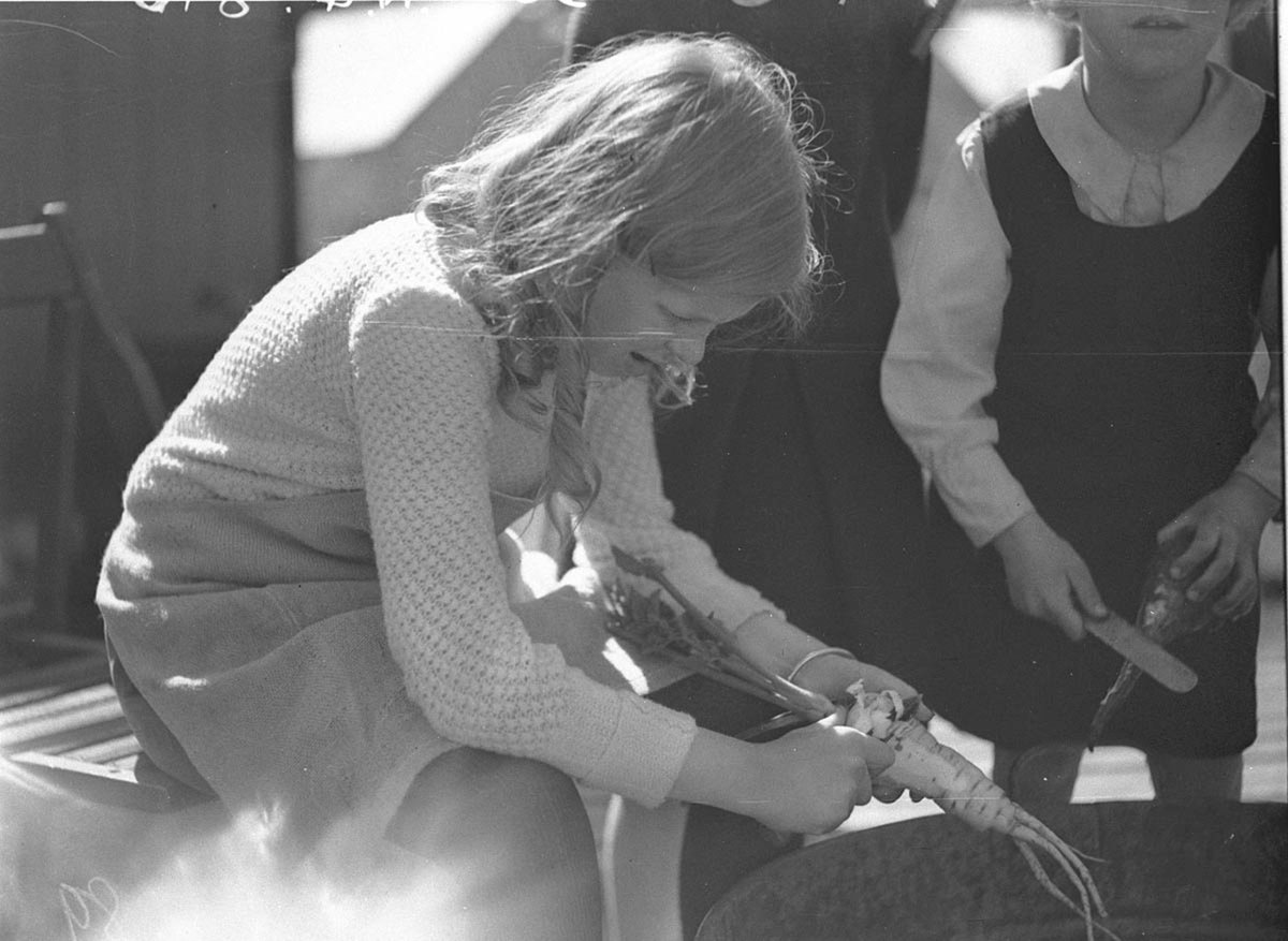 A study of a small girl peeling a turnip or swede (1930s)
