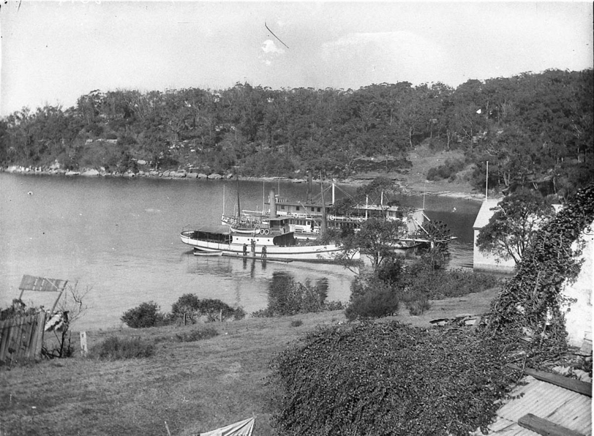 An ancient tugboat and a sternwheeler ferry at Fern Bay (1930s)