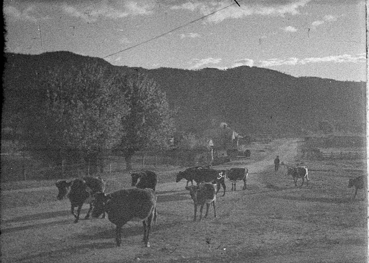 Araluen (1925–57)