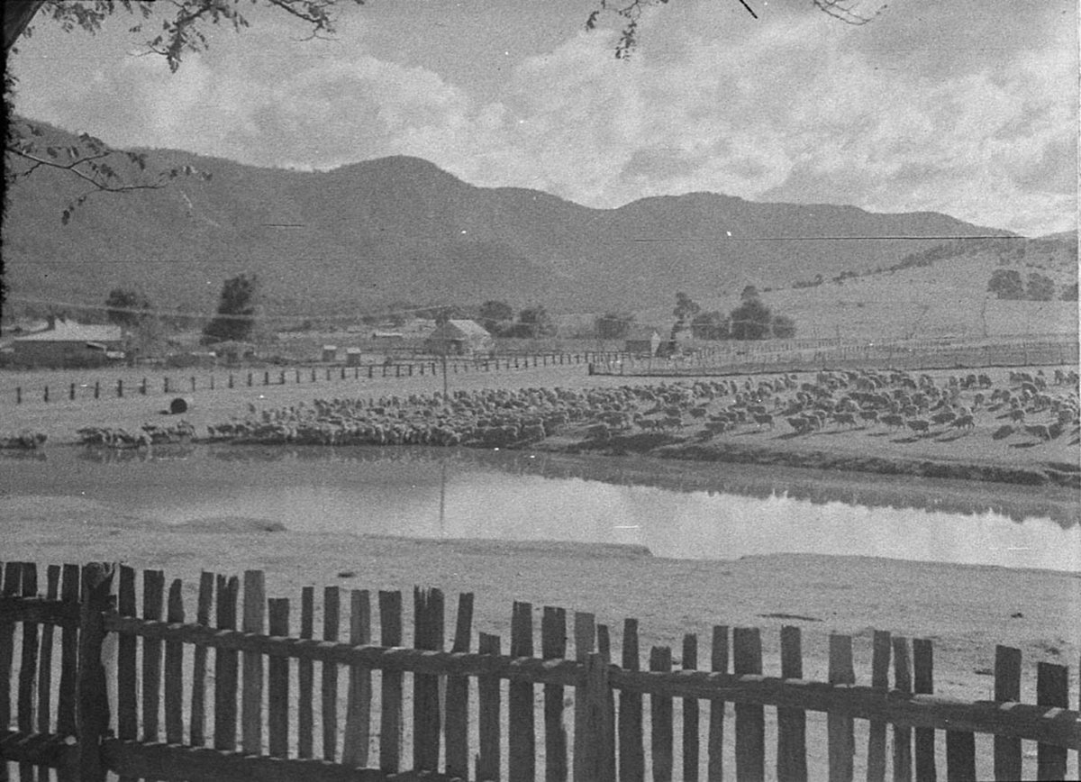 Araluen (1925–57)
