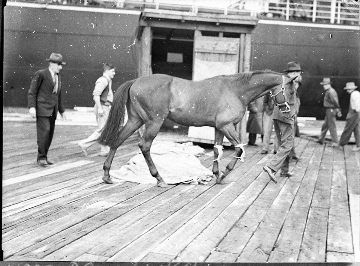 Arrival of English horse (1935)
