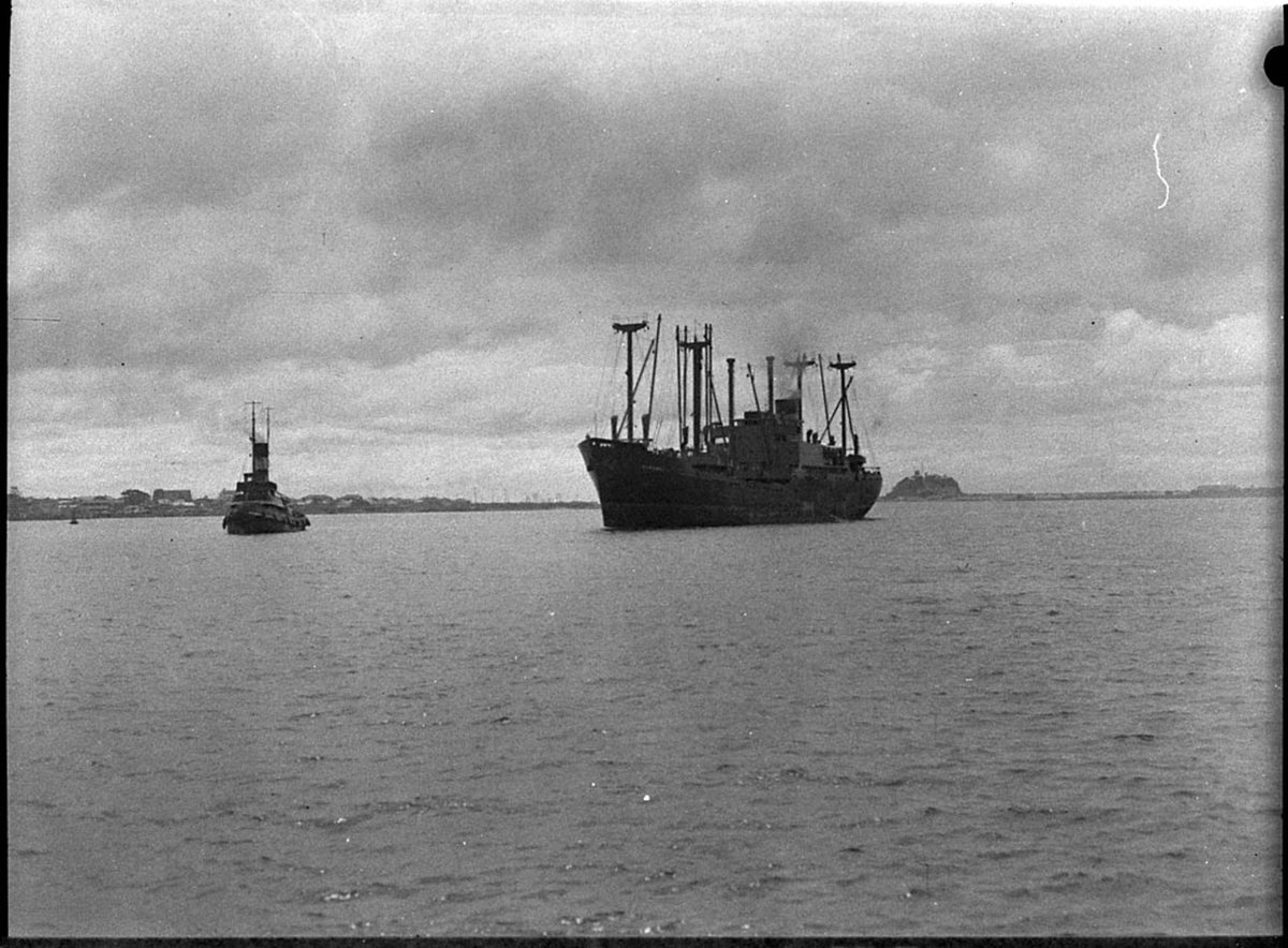 Arrival of SS Koranui Nobbys and Stockton in background (1957)